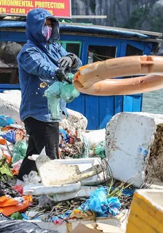 Ngừng sử dụng sản phẩm nhựa dùng 1 lần trên vịnh Hạ Long từ 1/9