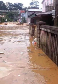 Bất thường lũ lụt ở Đà Lạt: Đâu là nguyên nhân?