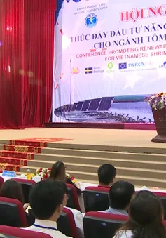 Thúc đầy đầu tư năng lượng tái tạo cho ngành tôm