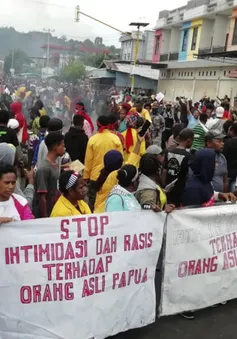 Bạo loạn bùng phát tại tỉnh Papua, Indonesia