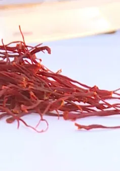 Xuất khẩu saffron của Iran đang trên đà giảm sút