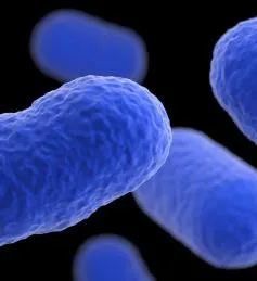 Tây Ban Nha cảnh báo nhiễm khuẩn listeria trong thịt hộp