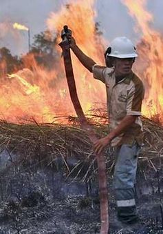 Indonesia huy động máy bay trực thăng đối phó cháy rừng