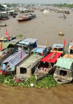 Cần Thơ lọt top thành phố sở hữu kênh đào đẹp nhất thế giới