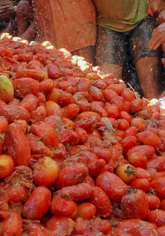 "Biển cà chua" đỏ rực rại lễ hội La Tomatina