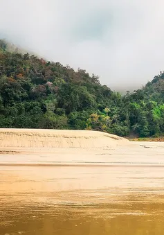 Hàng loạt hệ lụy từ việc mực nước sông Mekong xuống thấp nhất lịch sử