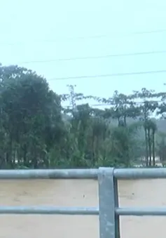 Mưa lớn kéo dài, nhiều khu vực tại Lâm Đồng chìm trong nước lũ