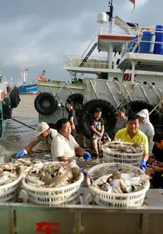 Siêu bão Lekima sắp đổ bộ Trung Quốc