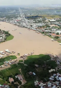 Mực nước vùng đầu nguồn ĐBSCL đang lên