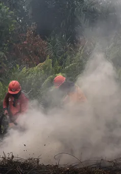 Indonesia đóng cửa một sân bay vì cháy rừng gây khói mù nghiêm trọng