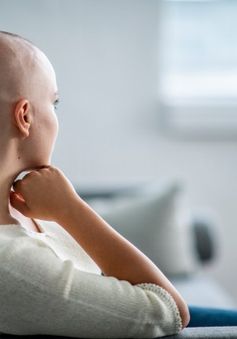Sắp có thuốc giúp bệnh nhân ung thư không bị rụng tóc khi hóa trị