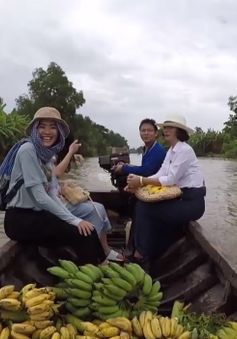 Chuyến đi màu xanh: Về Cà Mau trải nghiệm trồng chuối ép khô