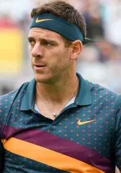 Juan Martin Del Potro trở lại tập luyện sau chấn thương