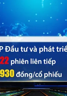 Cổ phiếu FTM giảm điểm liên tiếp