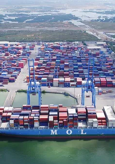 Cảng quốc tế Tân Cảng - Cái Mép (TCIT) đạt gần 3.200.000 Teu năm 2019