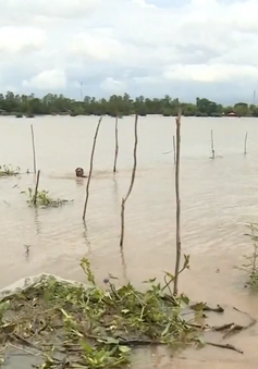 Năm 2019, Đồng Tháp xả lũ đón phù sa trên diện tích hơn 90.000ha