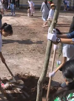 Khởi động chiến dịch "Phủ xanh Việt Nam"