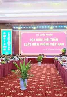 Cần thiết ban hành Luật Biên phòng Việt Nam