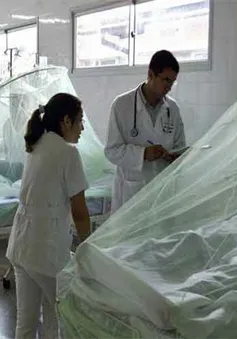 Honduras đối mặt với dịch sốt xuất huyết nguy hiểm nhất trong 10 năm qua