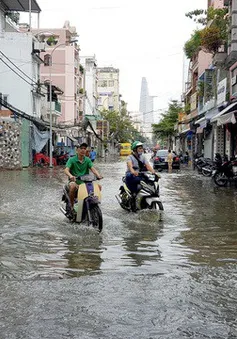 Cảnh báo tình trạng ngập do triều cường tại Nam Bộ