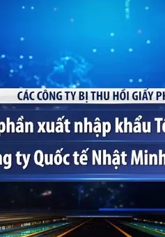 Hàng loạt DN xuất khẩu lao động bị xử phạt, thu hồi giấy phép