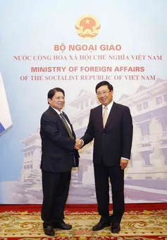Phó Thủ tướng Phạm Bình Minh hội đàm với Bộ trưởng Bộ Ngoại giao Nicaragua