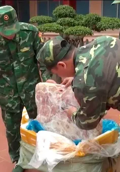 Lạng Sơn: Bắt giữ 450kg nầm lợn đông lạnh nhập lậu