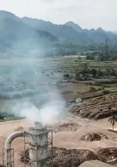 Người dân Hòa Bình sống chung với bụi từ nhà máy sản xuất gỗ ép