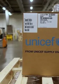 UNICEF viện trợ Vũ Hán 6 tấn vật tư y tế