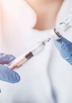 Anh thử nghiệm vaccine lao phòng COVID-19