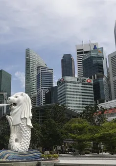 Singapore đàm phán thiết lập "bong bóng du lịch" và làn xanh với các quốc gia kiểm soát tốt COVID-19