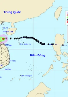 Bão số 9 mạnh tương đương bão Damrey, gây ảnh hưởng lớn ở Trung và Nam Trung Bộ