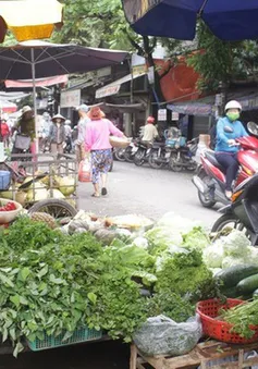 “Bão giá” rau xanh tại Quảng Ngãi