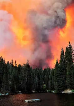 Cháy rừng tại bang California, nhiều người Mỹ gốc Việt phải sơ tán