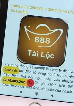 Hứa hẹn cứ “giật đơn” là có tiền: “Miếng pho mát trong bẫy chuột” của Tailoc888