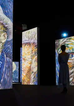 “Đắm mình” trong nghệ thuật tại triển lãm điện tử Van Gogh
