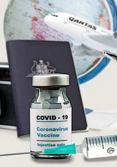 Hãng hàng không Qantas dự kiến yêu cầu hành khách tiêm vaccine trước khi lên máy bay