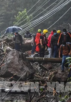 Bão Eta gây lở đất kinh hoàng tại Guatemala, hơn 100 người thiệt mạng