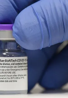 Đã có quốc gia châu Á đầu tiên chấp thuận vaccine Pfizer-BioNTech