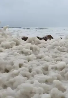 Hiện tượng bọt nâu kỳ lạ phủ kín bờ biển ở Australia