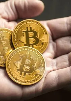 Bitcoin tăng giá điên cuồng: Sau "đỉnh cao" có còn là "vực sâu"?