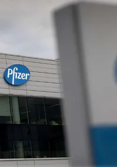 Pfizer và BioNTech nộp đơn xin cấp phép khẩn cấp vaccine phòng COVID-19 tại EU