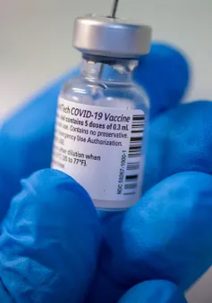 Nhật Bản có thể phải vứt bỏ hàng triệu liều vaccine COVID-19 vì lý do khó ngờ