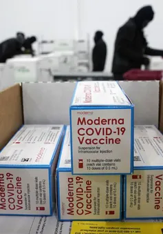 Một bác sĩ sốc phản vệ sau khi tiêm vaccine của Moderna