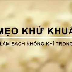 Làm sạch không gian sống bằng những cách đơn giản mà hiệu quả