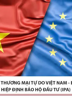 Nghị viện châu Âu chính thức phê chuẩn EVFTA và EVIPA