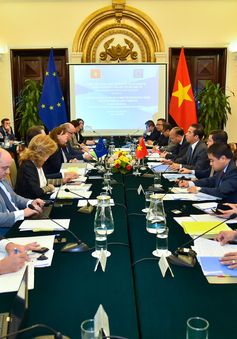 Việt Nam đồng chủ trì cuộc họp lần thứ nhất Tiểu ban chính trị Việt Nam - EU
