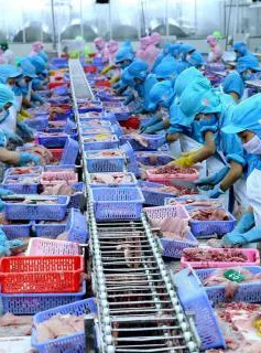 Ngành thủy sản ứng phó trước tác động của dịch nCoV