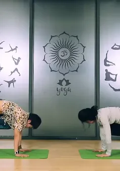 Những tư thế yoga giúp giảm mỡ vùng bụng