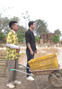 Phim sitcom Ba chàng ngốc: Nhận cái kết đắng vì dùng chiêu trò lừa đảo khách mua vịt online